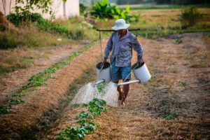 adult-agriculture-backyard-planting-162637